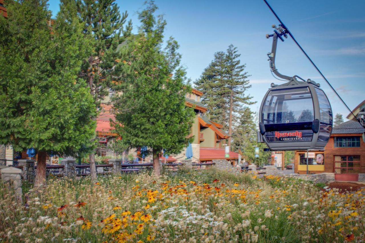 Hébergement de vacances Tahoe Treetop Escape Stateline